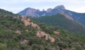 Tour Wandern Saint-Raphaël - Pk Belle Barbe - MF Charretiers - Pont des Cantines - Col du Perthus - Photo 13