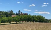 Randonnée Marche Vitrac - Boucle de Marobert - Photo 4