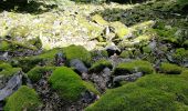 Trail Walking La Bresse - Kastelberg des pierres, des lacs, des panoramas magnifiques  - Photo 14