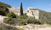 Randonnée Marche Gémenos -  Tuny par le Vallon des Seignors - Photo 13