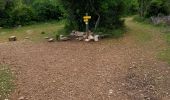 Trail Walking Montmeyan - les basses gorges de quinson - Photo 9