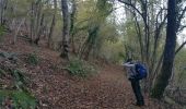 Randonnée Marche Arrien-en-Bethmale - les granges de la Serre en boucle - Photo 3