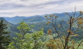 Randonnée Marche Villard-de-Lans - La moliere - col d'herbouilly - pot du loup - crête - Photo 6