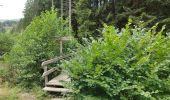 Tour Wandern Laveissière - les gorges de l'alagnon  - Photo 2