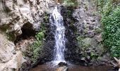 Percorso A piedi Telde - Barranco de los Cernícalos - Photo 10