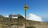 Trail Walking Ghisoni - Punta della Cappella - Photo 1