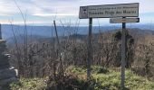 Randonnée Marche Pignans - Pignans - Notre Dame des anges - Photo 3