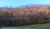 Trail Walking Ferrières - entre xhoris et bois de monty - Photo 19