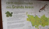 Percorso Camminata nordica Champcueil - pierre hivert forêt Grands Aveaux  - Photo 4
