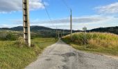 Trail On foot Colombier-le-Vieux - Randonnée : Les Gorges de la Daronne - Photo 3