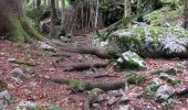 Tour Wandern Gemeinde Au - dernière balade à Au - Photo 5