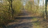 Trail Walking Marchiennes - Randonnée de l abbaye - Photo 2