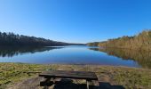 Tour Wandern Maasmechelen - Terhills et son pont flottant  - Photo 6