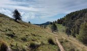 Trail Walking Moulinet - Camp d'Argent  - Photo 8