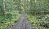 Randonnée Marche Esneux - pré de tilff . bois du manant.  bois des chevreuils  . pré  de tilff - Photo 4