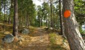 Trail On foot Unknown - Upplands-Broleden - Photo 4