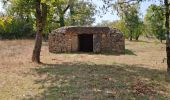 Randonnée V.T.T. Limogne-en-Quercy - circuit des Dolmens - Photo 2