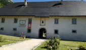 Percorso Marcia Aillon-le-Jeune - MONT PELAT boucle - Photo 3