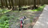 Trail Walking Libramont-Chevigny - Séviscourt - Photo 5