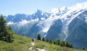Randonnée Marche Les Houches - Aiguillette des Houches - Photo 14