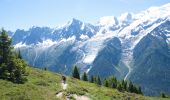 Percorso Marcia Les Houches - Trajet Aiguillette des Houches - Photo 14