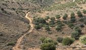 Excursión Senderismo Κοινότητα Ἁγίου Νικολάου - Le sommet d’Oxa à partir d’Agios Nikolaos - Photo 14