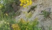 Tocht Stappen Κοινότητα Μορονίου - Balade à Panagia (Rother n°45) - Photo 6