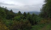 Tour Wandern Vecoux - 07-06-21 Reherrey- chalet des meules- col de xiard- chalet de l'avuxon- source chaude - Photo 4