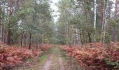 Tocht Stappen Criquebeuf-sur-Seine - 20201027-Bonport - Photo 3