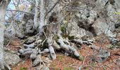 Tocht Stappen La Bastide - coll de palomere - Photo 16