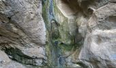 Trail Walking Gigondas - Dentelles de Montmirail - Photo 2
