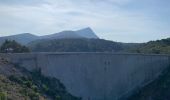 Trail Walking Aix-en-Provence - Prés d'Aix, les barrages de Bimont et Zola - Photo 5