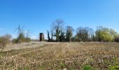 Randonnée Marche Geer - Geer 010425 - Photo 13