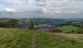 Tocht Stappen Chaudfontaine - autour du bois les dames  - Photo 11