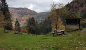 Tocht Stappen St. Märgen - Cascade Zweribach depuis Sankt Märgen - Photo 20