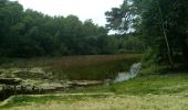 Tocht Stappen Poigny-la-Forêt - Poigny la forêt - Photo 1