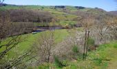 Tocht Stappen Chouvigny - La table de peraclos  - Photo 8