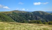 Randonnée Marche La Bresse - Le Hohneck et ses lacs d'altitude - Photo 9