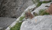 Randonnée Marche Glières-Val-de-Borne - BARGY: PARADIS - LAC DE LESSY - Photo 3