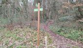 Tocht Stappen Angoulême - La rando d'Angoulême entre ville et campagne  - Photo 6