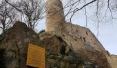 Tocht Stappen Andlau - Andlau - château d'Andlau - château du Spesbourg - Photo 2