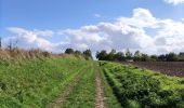 Randonnée Marche Incourt - Promenade du Tumulus (6,1km)  - Photo 19