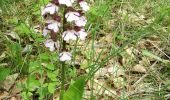 Tour Wandern Le Sauze-du-Lac - balade balcons du lac 300521 - Photo 11