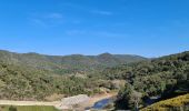 Excursión Senderismo La Môle - La Mole - Barrage de la Verne  - Photo 11