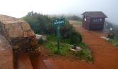 Randonnée A pied Hermigua - Ruta 17: Pajarito - Alto de Garajonay - Pajarito - Photo 4