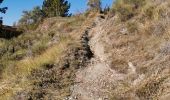 Trail Walking Toudon - FFR - la Cime des Colettes  - Photo 11