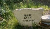 Excursión Senderismo Château-Arnoux-Saint-Auban - CHATEAU NVSD . LE TOUR DES AMARINES N - Photo 10