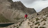 Trail Walking Allos - Col petite Cayolle-21-06-22 - Photo 8