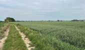 Trail Walking Dour - Élouges 17 km - Photo 11