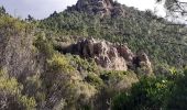 Trail Walking Saint-Raphaël - Pic de l'Ours les Grues depuis Belle Barbe - Photo 10